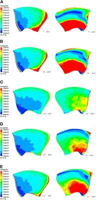 Theoretical Analysis of Entropy Generation at the Blade Interface of a Tubular Turbine Under Cooperative Conditions